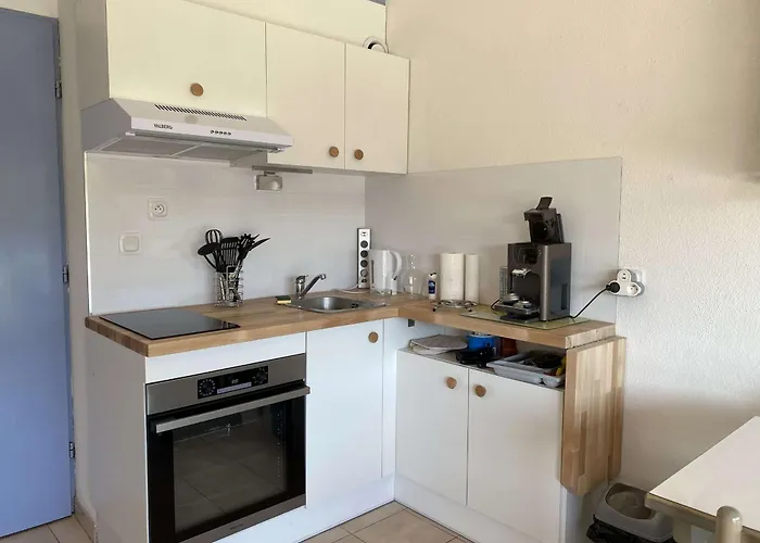 Apartament 2 Pieces En Duplex Avec Terrasse Et Piscine A - Fr-1-553-301 *